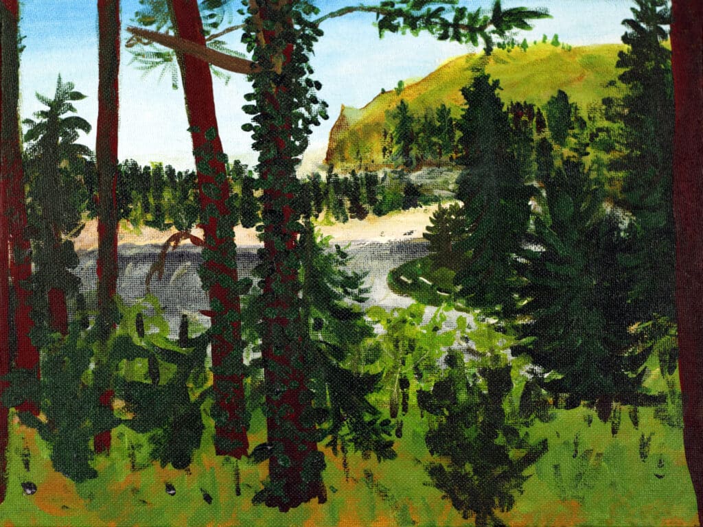 Landscape nature art painting of Salmon river stream water way with sunny summer view. I painted this on the actual scene with no reference material besides the view.